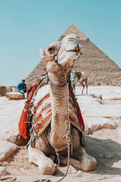 Cairo Tours Packages