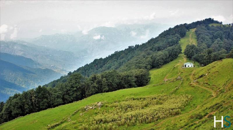 Nag Tibba Trek – Best Trek For Beginner - 2 Days