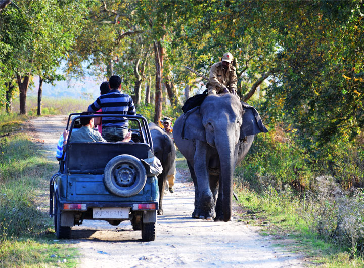 Cultural & Wildlife Escape- Majuli Island & Kaziranga Adventure – 5 Days