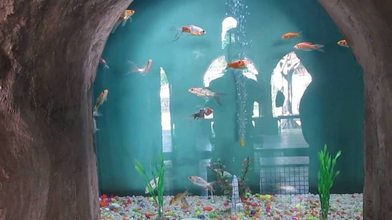 4 Nights 5 Days Shimla Manali Taxi Package