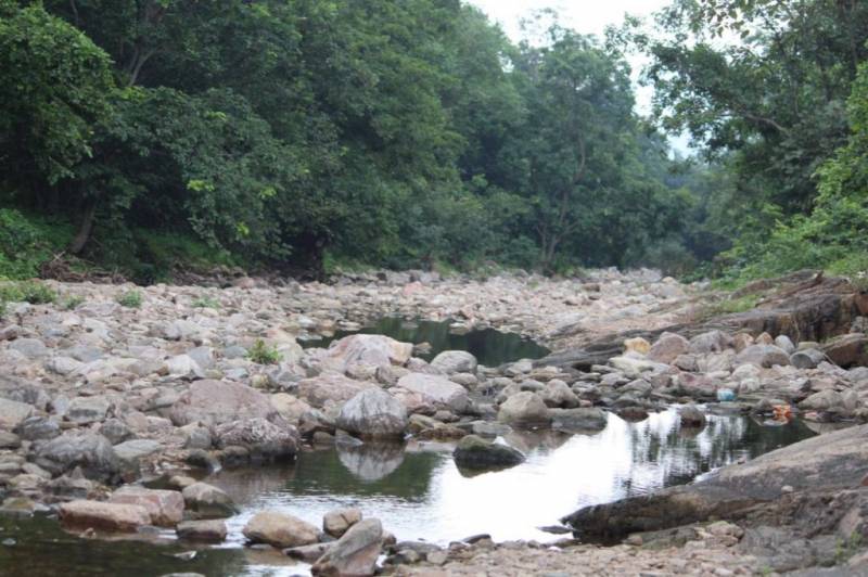 Polo Forest Trekking Camp Tour