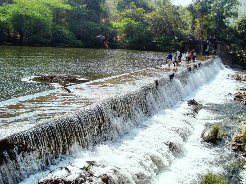 Polo Forest Trekking Camp Tour