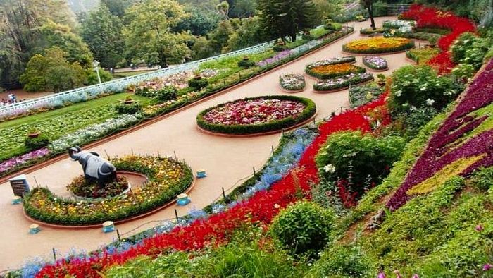 4 Night 5 Days Tour in Manali