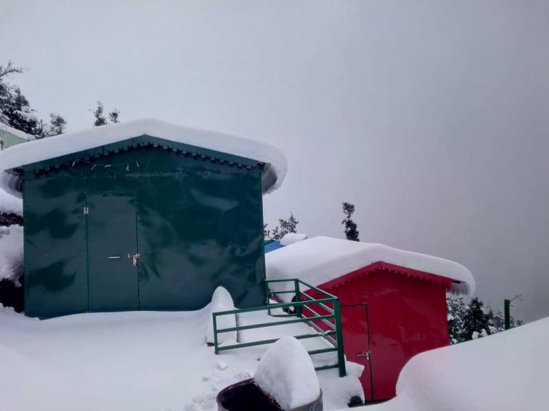 Kanatal Camp Packages ( Best Price ) - Castaway Greens