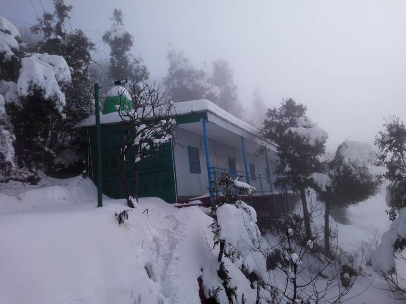 Kanatal Camp Packages ( Best Price ) - Castaway Greens