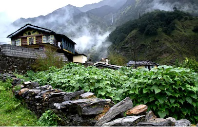 Jaulangi Village Tour - A Uttrakhand Village Tour