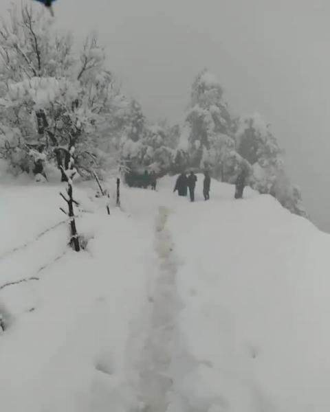 3N 4 D Manali Volvo Tour