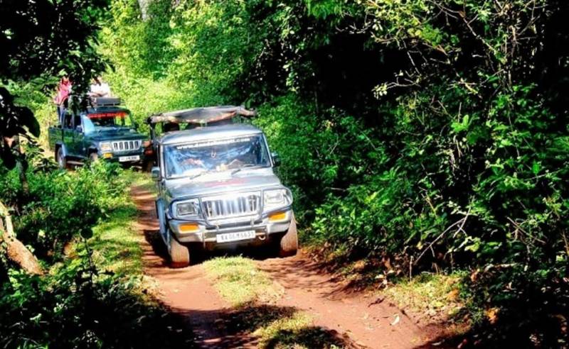 Dandeli Ventures Jungle safari (DVJ)