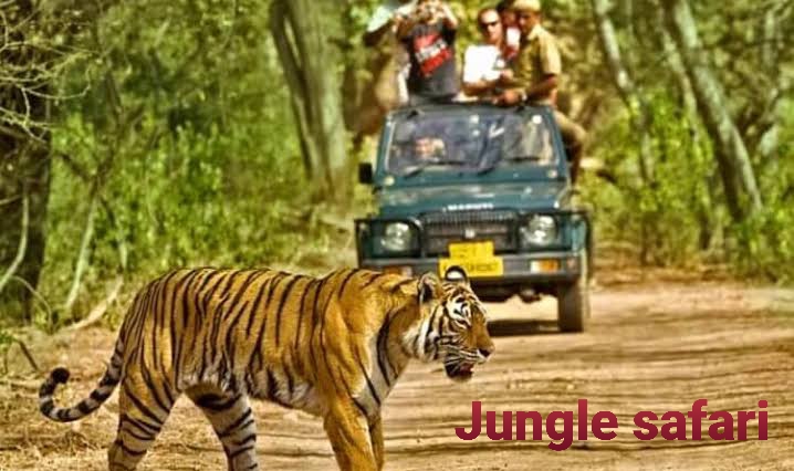 Dandeli Ventures Jungle safari (DVJ)
