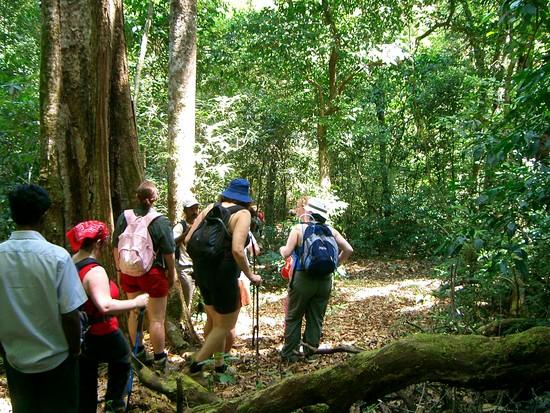 Dandeli Ventures Jungle safari (DVJ)