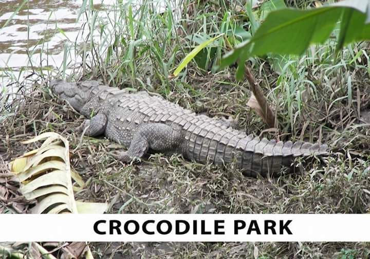 Ventures Camping Package