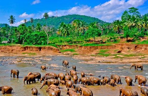 5 Night & 6 Days Sri Lanka Holiday