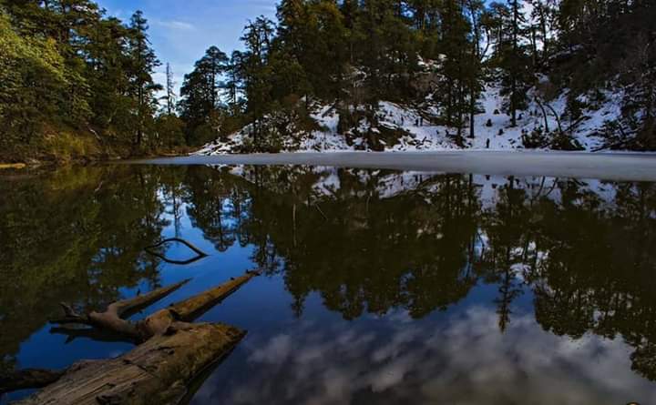 Brahmatal Trek 5 Night 6 Days Package