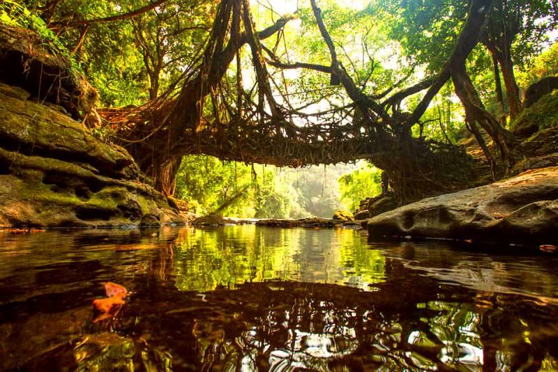 3 Nights 4 Days Shillong Cherrapunjee and Mawlynnong Tour