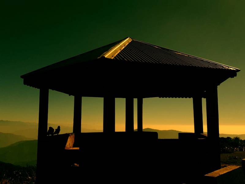 Sandakphu Phalut Tumling