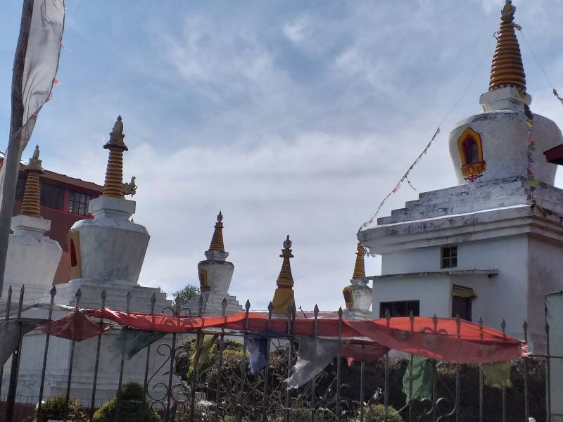 Sandakphu Phalut Tumling