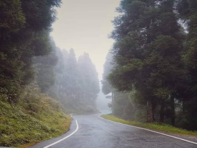 Peshok  Sittong  Darjelling Tour