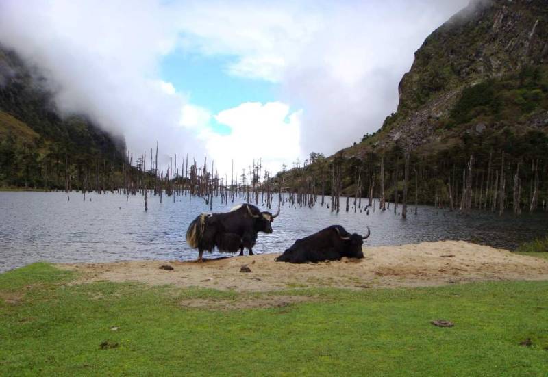 Arunachal Pradesh - Western Part