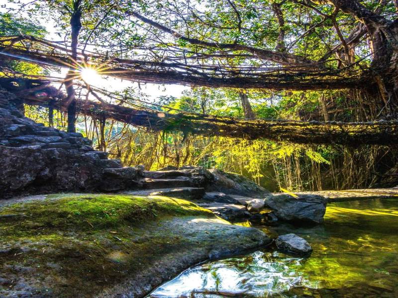 Shillong Cherrapunjee Dwaki Mawlynnong Kaziranga