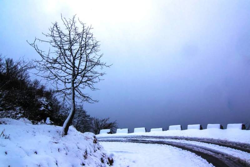 Zuluk Nathang Kupup With Reshikhola (Sikkim Old Silk Route)