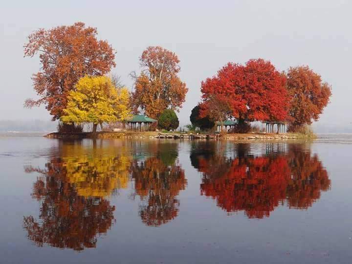 Srinagar Pahalgam Gulmarg Doodthpathri Yashmarg & Aharbal (Jammu & Kashmir)