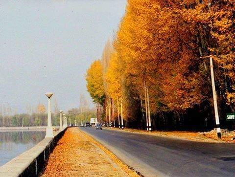 Srinagar Pahalgam Gulmarg Doodthpathri Yashmarg & Aharbal (Jammu & Kashmir)