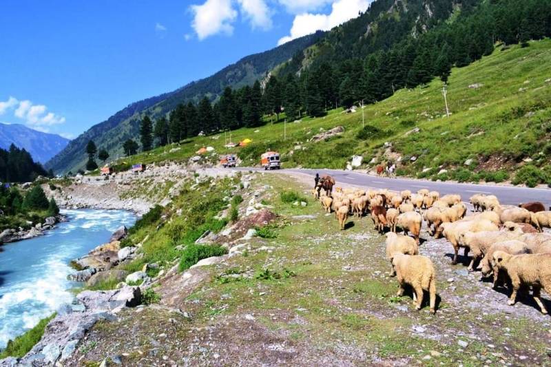 Srinagar Pahalgam Sonamarg Gulmarg Patnitop & Mata Vaisnodevi (Jammu & Kashmir)