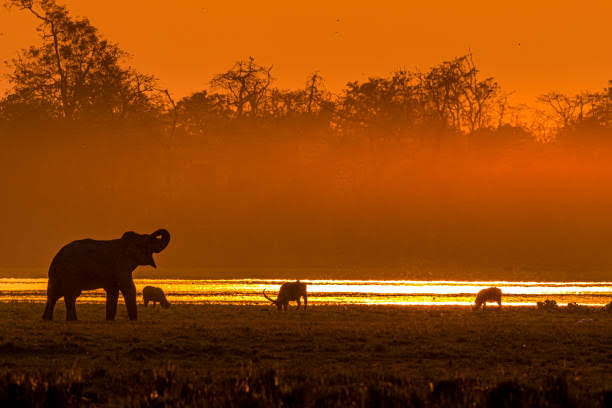 Guwahati Majuli Shivsagar Jorhat Kaziranga (Assam)