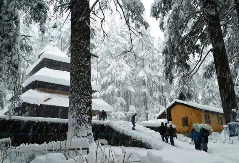 Shimla Manali Kullu Kasol Himachal Tour