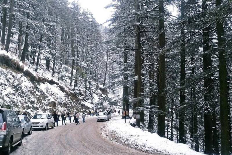 Shimla Manali Kullu Kasol Himachal Tour