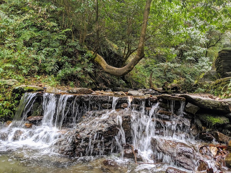 Kheerganga Waichin Jibhi Tirthan Himachal Tour