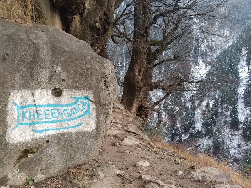 Kheerganga Waichin Jibhi Tirthan Himachal Tour