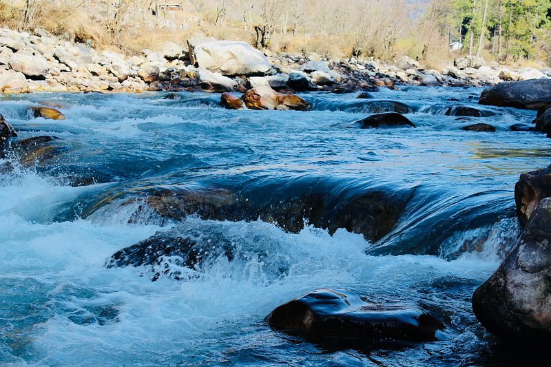 Kheerganga Waichin Jibhi Tirthan Himachal Tour