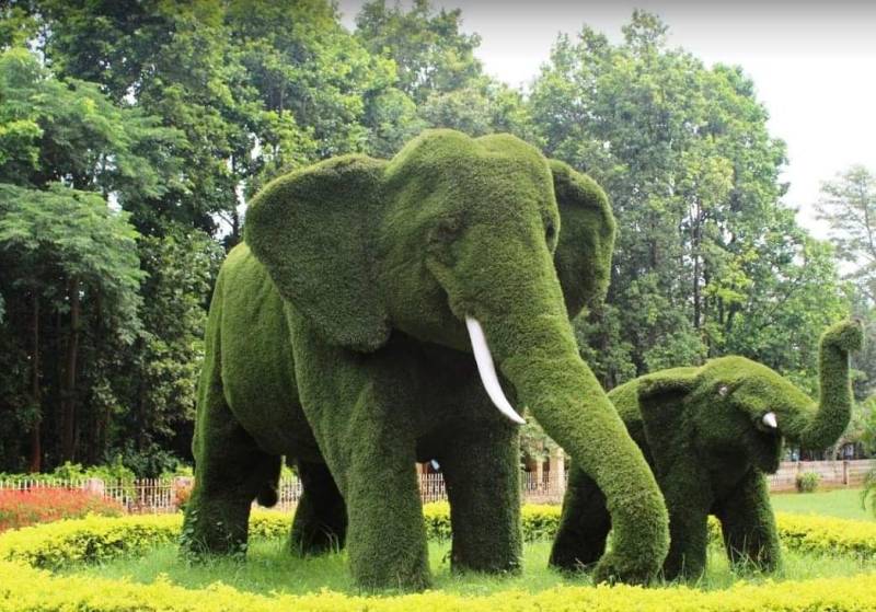 Ranchi Netarhat Betla (Jharkhand)