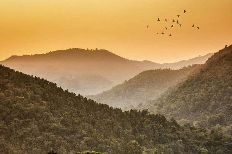 Ranchi Netarhat Betla (Jharkhand)