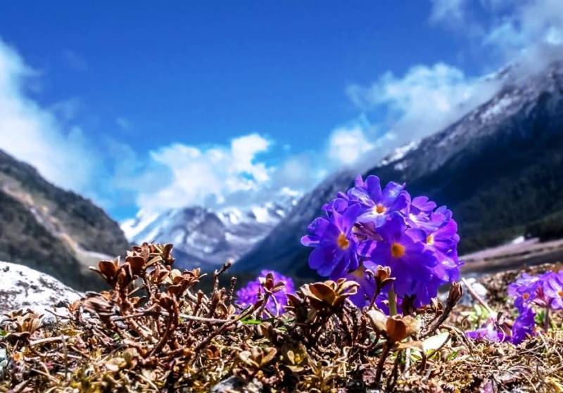 Sri Lanka Tour from Kolkata