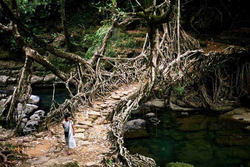 Shillong Tawang Kaziranga (Meghalaya - Assam - Arunachal)