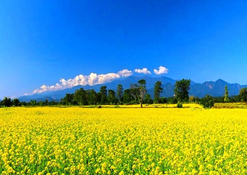 Shillong Tawang Kaziranga (Meghalaya - Assam - Arunachal)