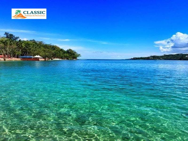 Port Blair - Havelock - Neil Island (Andamans) Tour from Kolkata