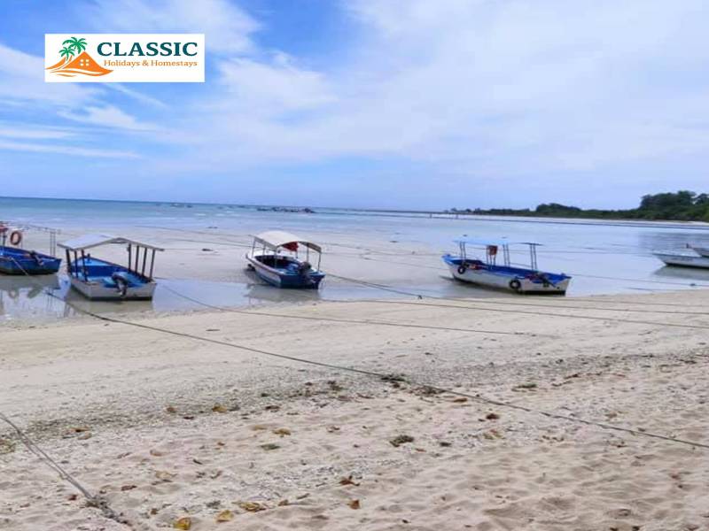 Port Blair - Havelock - Elephant Beach - Neil Island Tour (Andamans)