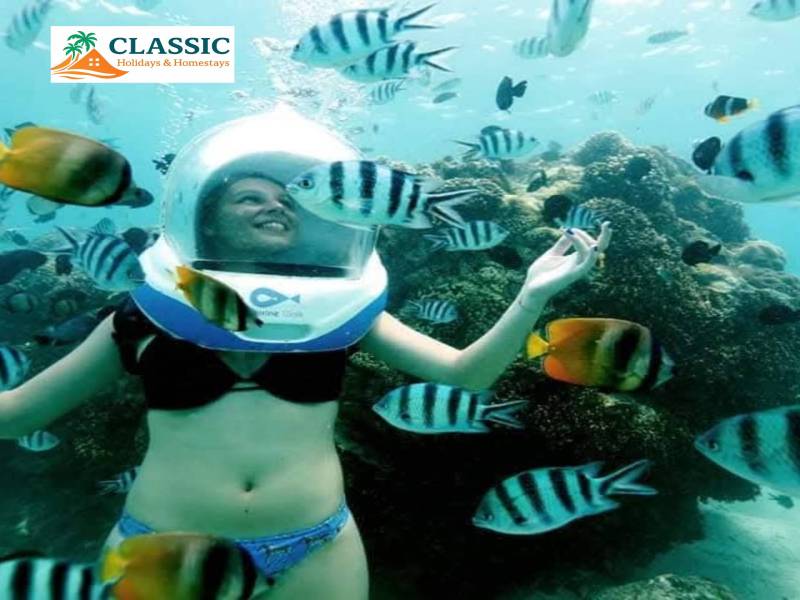 Port Blair - Havelock - Elephant Beach - Neil Island Tour (Andamans)