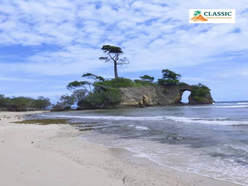 Port Blair - Havelock - Elephant Beach - Neil Island Tour (Andamans)