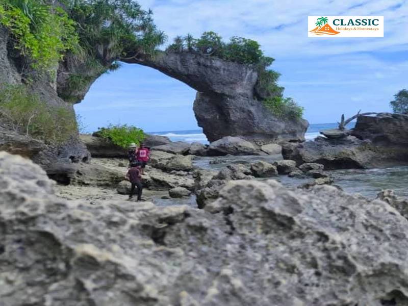 Port Blair - Havelock - Elephant Beach - Neil Island Tour (Andamans)
