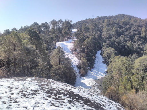 Himachal Chail Tour Package