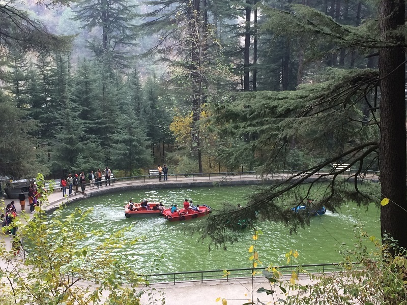 Shimla Manali 6 Night 7 Days Volvo Package