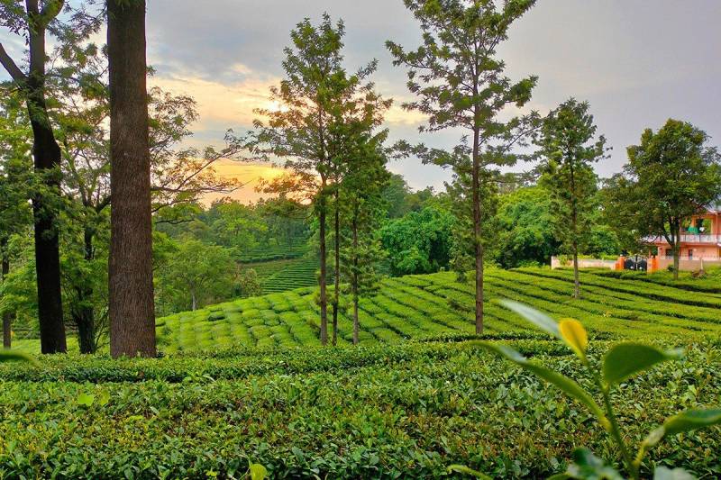 9 Night 10 Days Himachal Tour