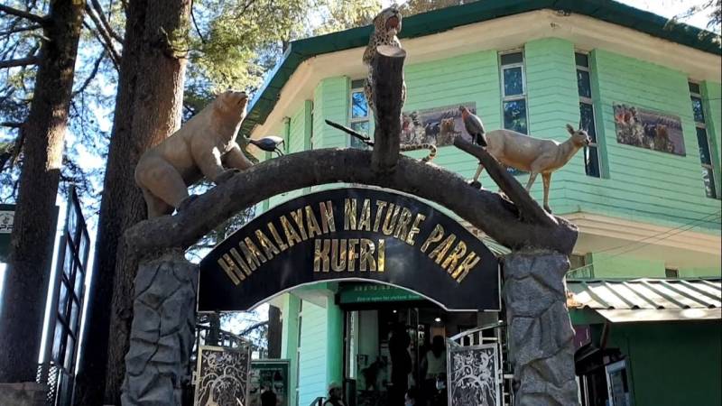 6 Nights - 7 Days Shimla - Manali - Amritsar Tour