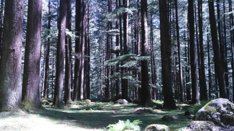 Manali 4 Night 5 Days Package