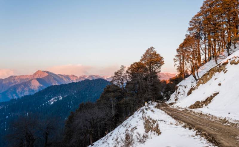 4 Nights 5 Days Jibhi Tirthan Valley Tour Package