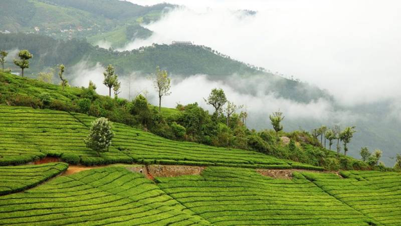 5 Nights 6 Days Ooty Mysore Coorg Tour Package